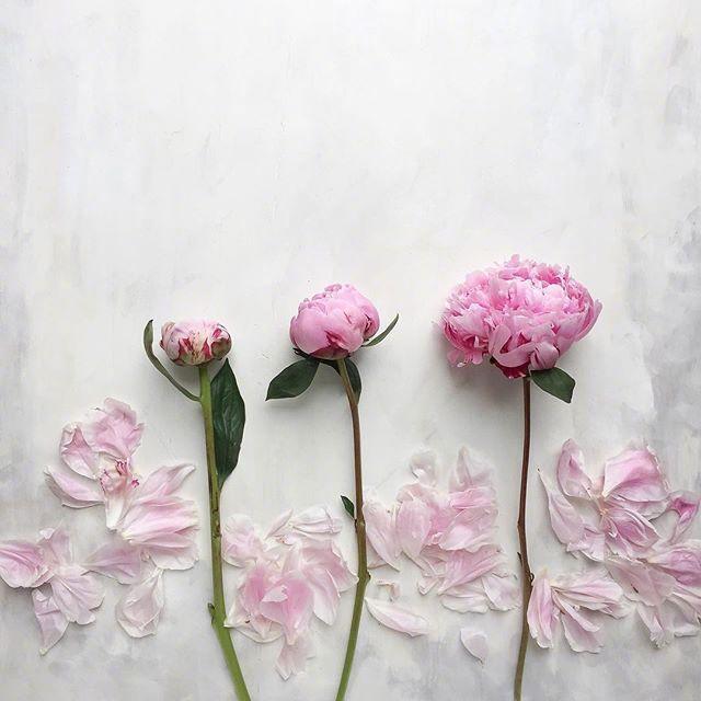 命运靠自己的人生格言(图2) 命运靠自己的人生格言(图2)