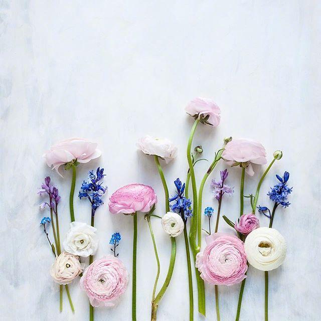 命运靠自己的人生格言(图3) 命运靠自己的人生格言(图3)