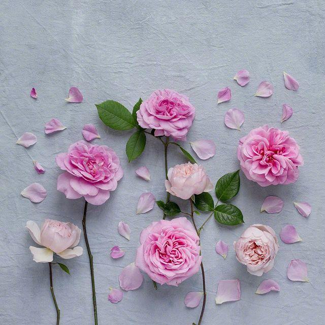 命运靠自己的人生格言(图5) 命运靠自己的人生格言(图5)