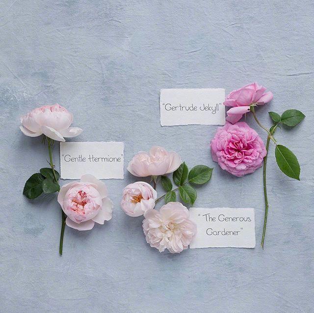 命运靠自己的人生格言(图6) 命运靠自己的人生格言(图6)