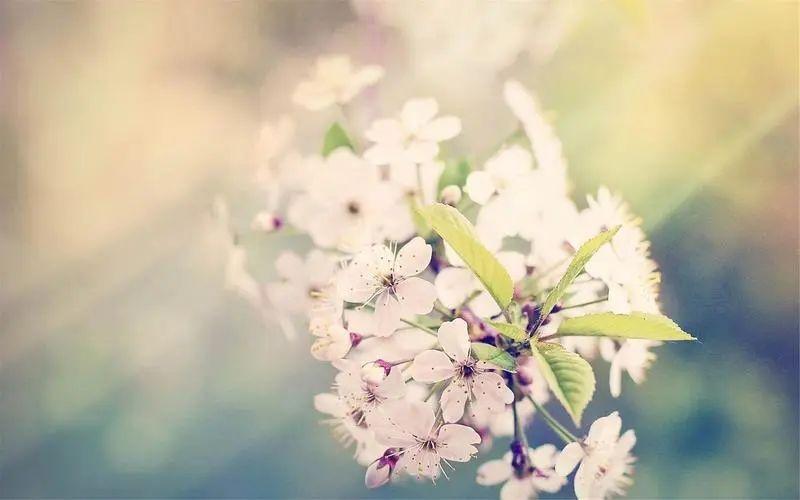 晨会必备！20句激励人心的话语，让你更有动力投入工作！(图1)