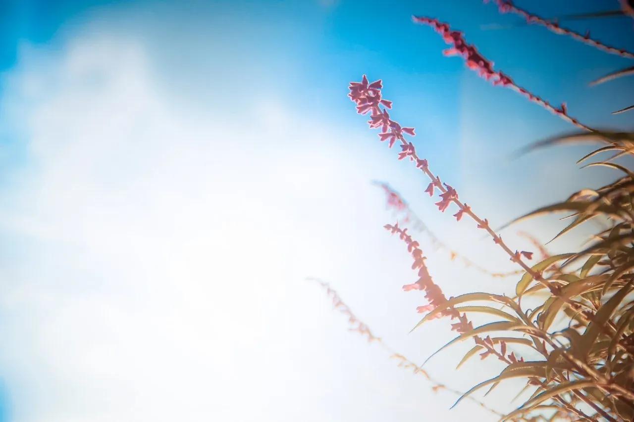 原创 || 十年，岁月无恙，青春已殇(图4)