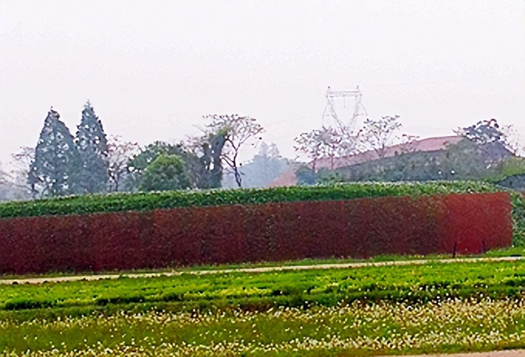 @所有人，及时当勉励，岁月不待人(图1)