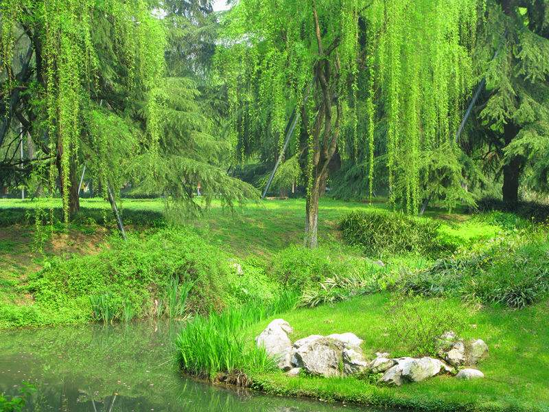 弯弯的小河，悠悠岁月情(文)(图2)