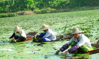 弯弯的小河，悠悠岁月情(文)(图4)