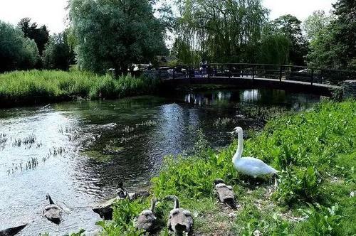 弯弯的小河，悠悠岁月情(文)(图5)