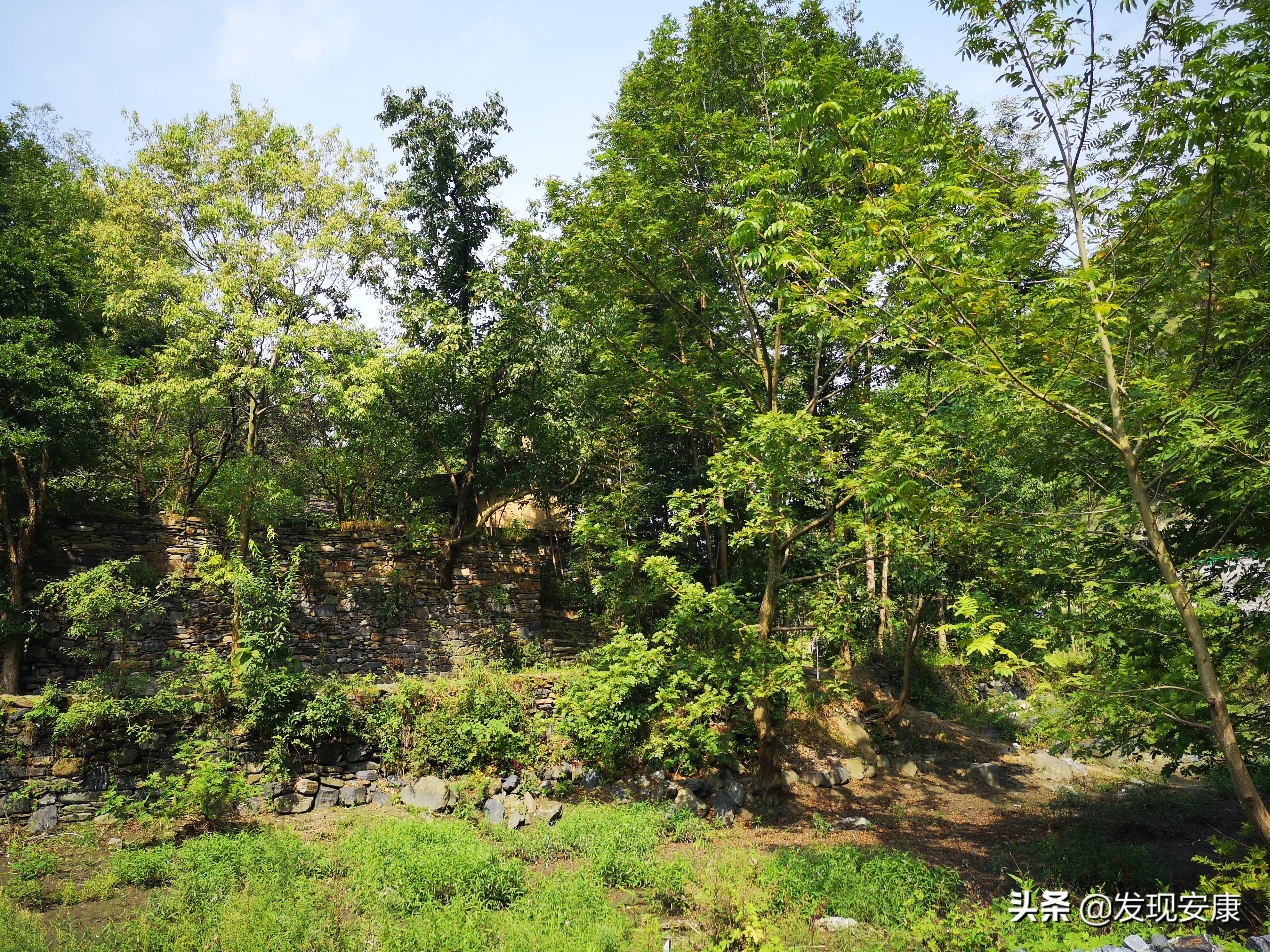 小河弯弯东流处,断垣残壁亦乡愁(图2) 小河弯弯东流处,断垣残壁亦乡愁(图2)