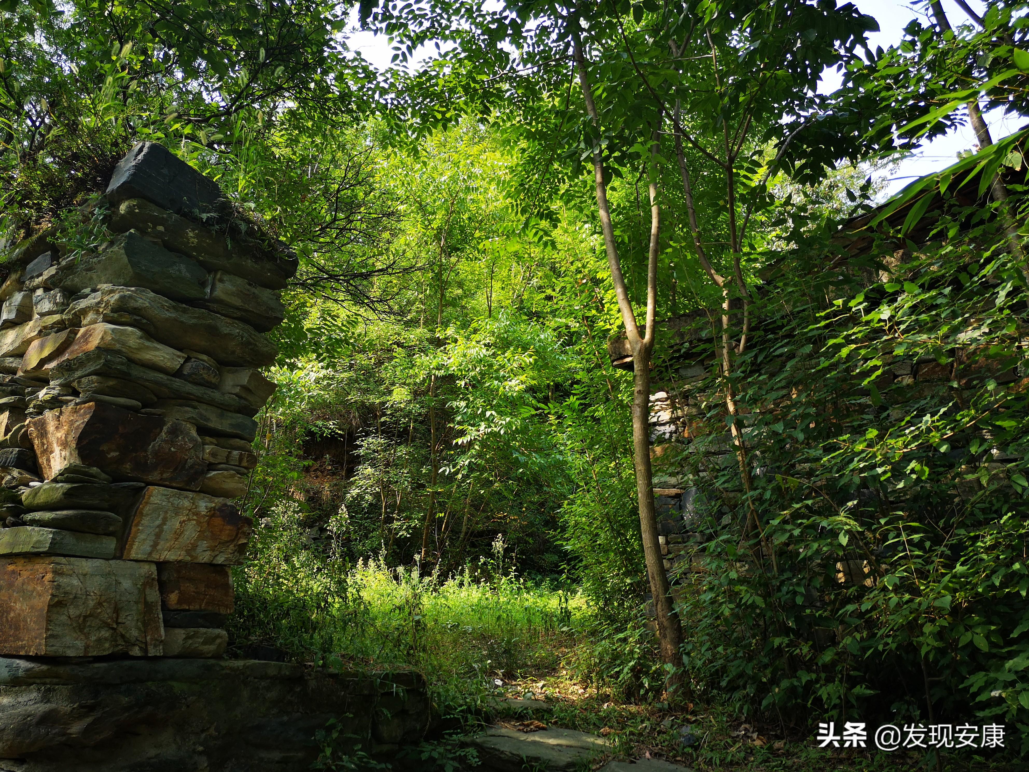 小河弯弯东流处,断垣残壁亦乡愁(图3) 小河弯弯东流处,断垣残壁亦乡愁(图3)