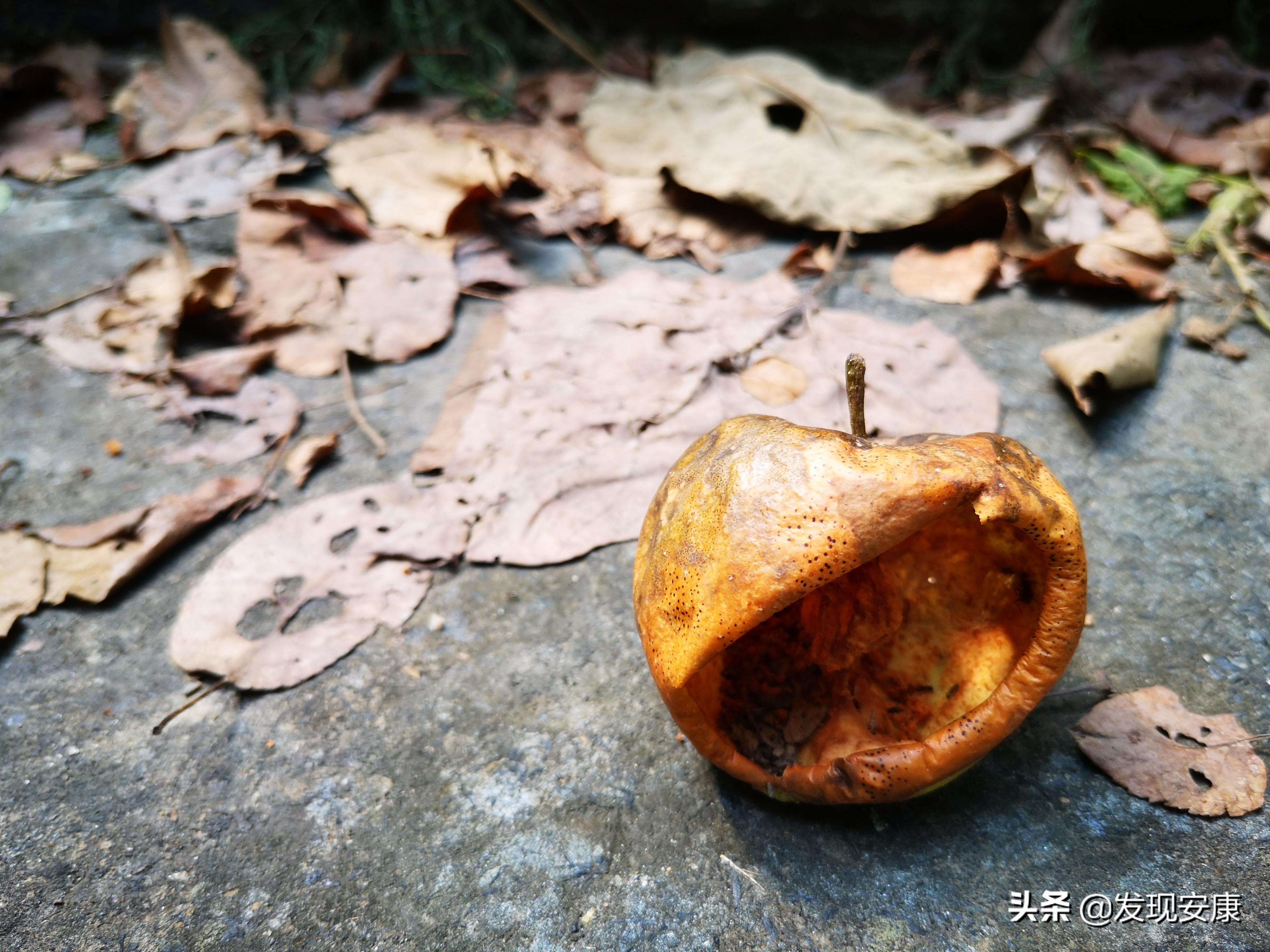 小河弯弯东流处,断垣残壁亦乡愁(图9) 小河弯弯东流处,断垣残壁亦乡愁(图9)