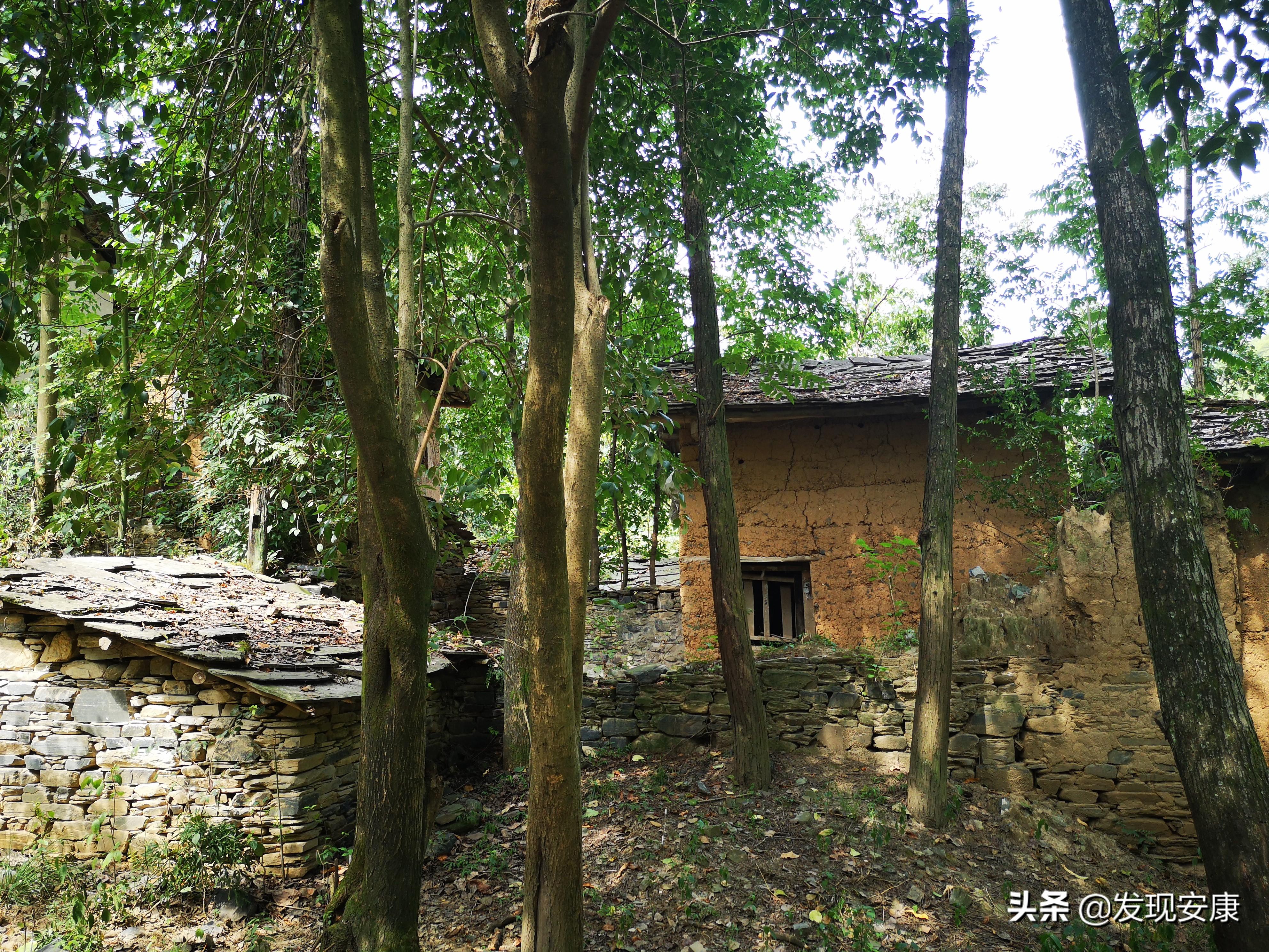 小河弯弯东流处,断垣残壁亦乡愁(图15) 小河弯弯东流处,断垣残壁亦乡愁(图15)