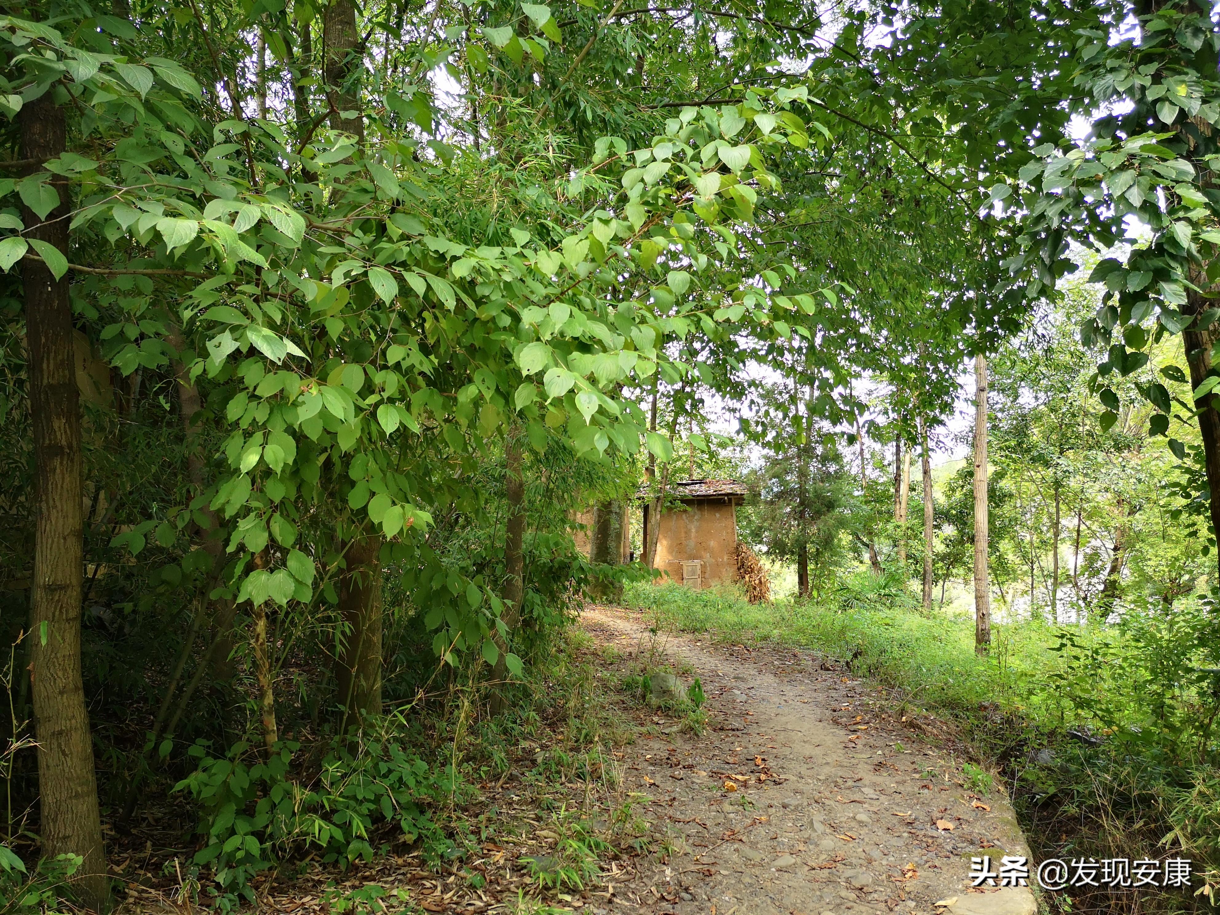 小河弯弯东流处,断垣残壁亦乡愁(图17) 小河弯弯东流处,断垣残壁亦乡愁(图17)