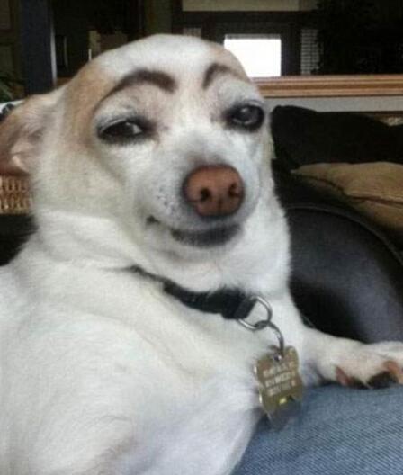 抖音上很火的搞笑句子，幽默风趣，看完开心又解压！(图1)