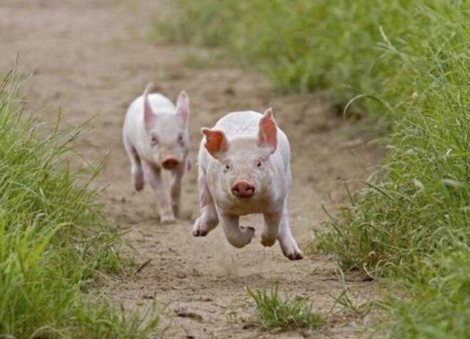 抖音上很火的搞笑句子，幽默风趣，看完开心又解压！(图2)