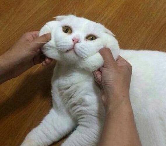 抖音上很火的搞笑句子，幽默风趣，看完开心又解压！(图3)