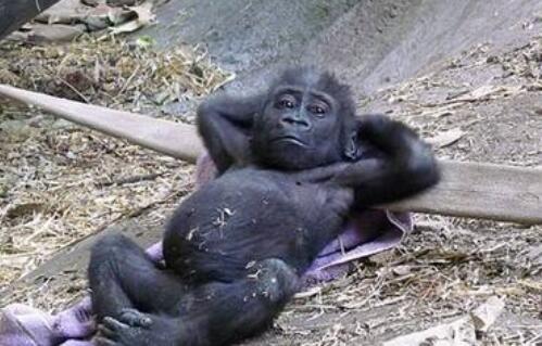 抖音上很火的搞笑句子，幽默风趣，看完开心又解压！(图6)