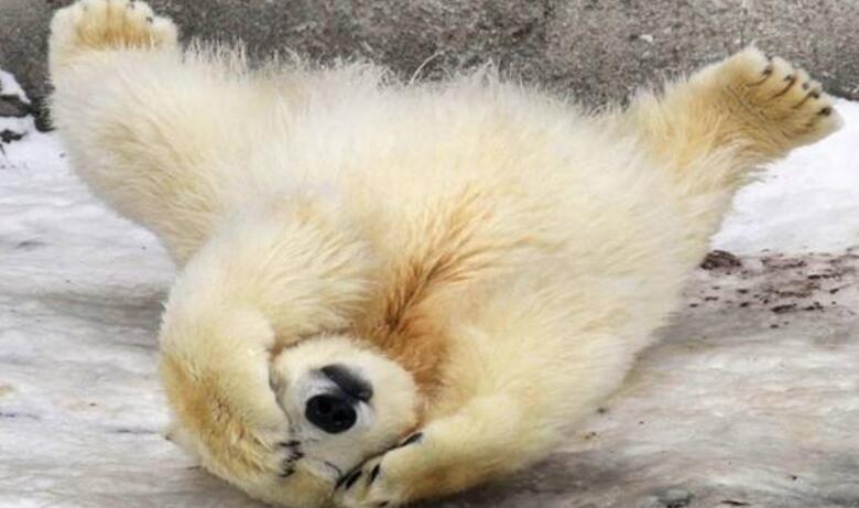 抖音上很火的搞笑句子，幽默风趣，看完开心又解压！(图7)