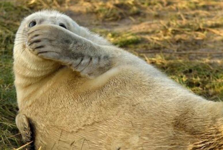 抖音上很火的搞笑句子，幽默风趣，看完开心又解压！(图8)