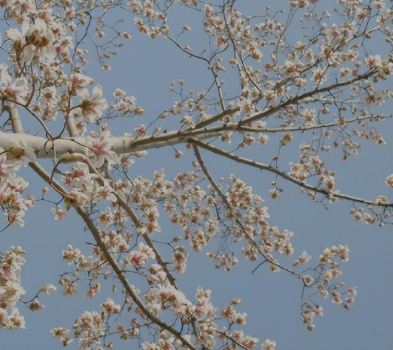 钱花的很快的搞笑说说 花钱快的幽默文案(图2)