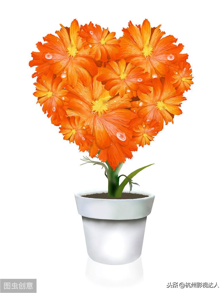 描写人五官的好词好句好段，值得收藏(图7)