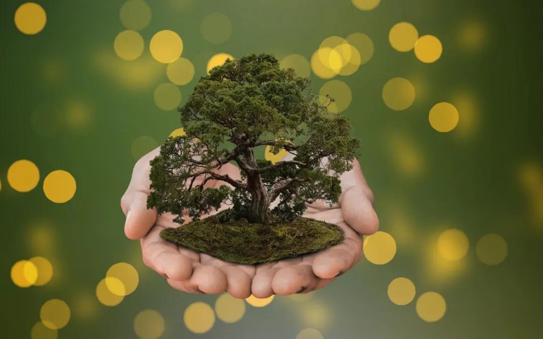 4.22世界地球日发朋友圈爱护地球的文案，爱护地球的名言说说(图4)