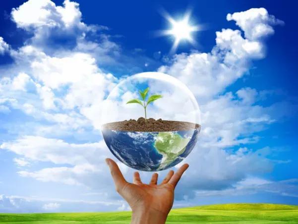 珍爱地球，和谐共生(图2)