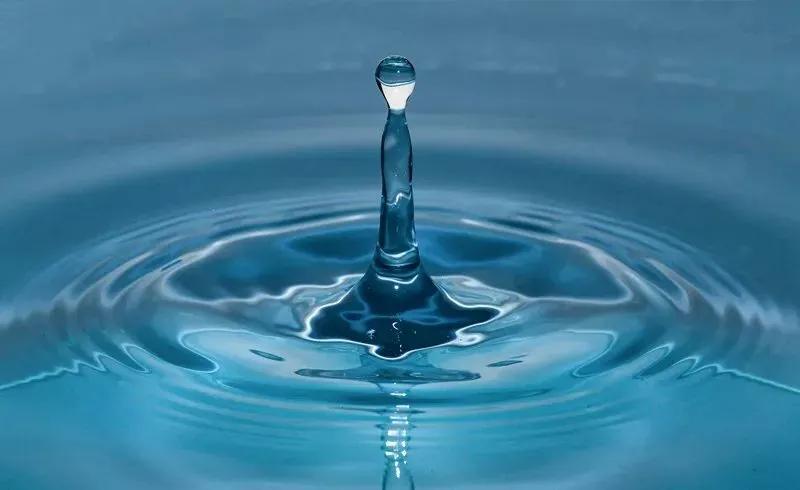 珍爱地球，和谐共生(图4)