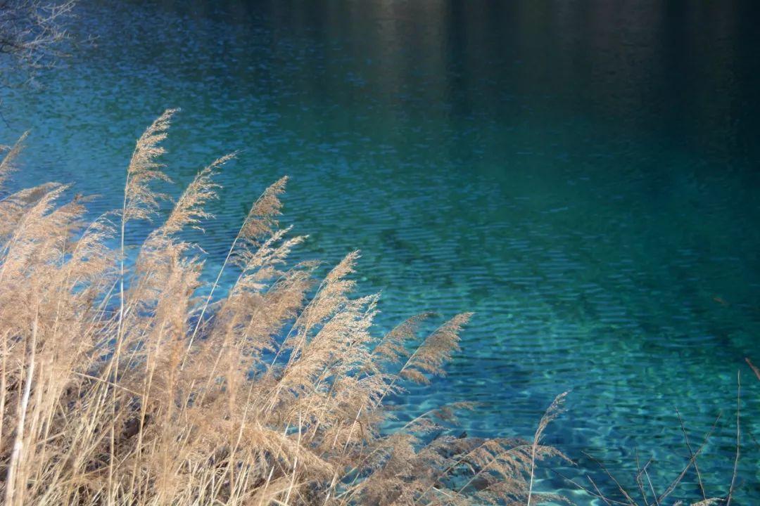 经典古文句子，全是思想的结晶，让人大长知识(图4)