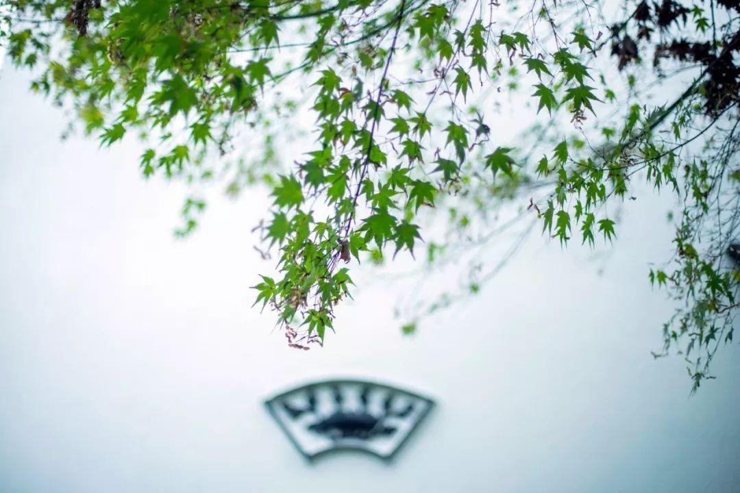 经典古文句子，全是思想的结晶，让人大长知识(图9)