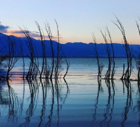 励志人生：尝试后可能会放弃，但千万不能放弃尝试(图1)