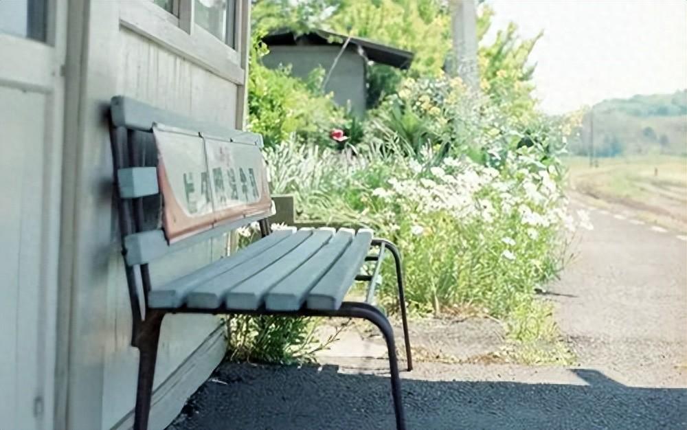 不负青春的励志语录，点亮生活的火花！(图1)