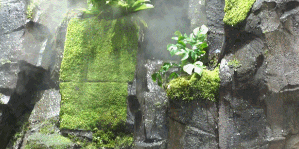 我发誓，从未见过这样子的螺蛳粉(图3)