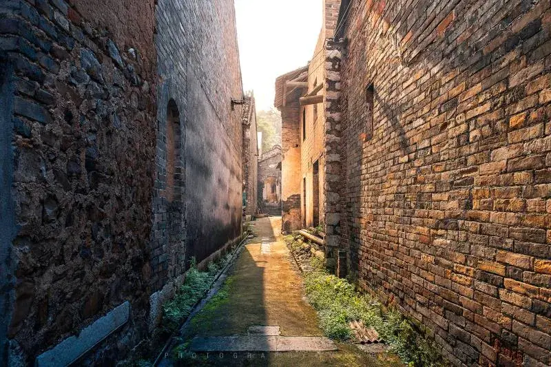 我发誓，从未见过这样子的螺蛳粉(图5)