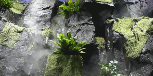 我发誓，从未见过这样子的螺蛳粉(图8)