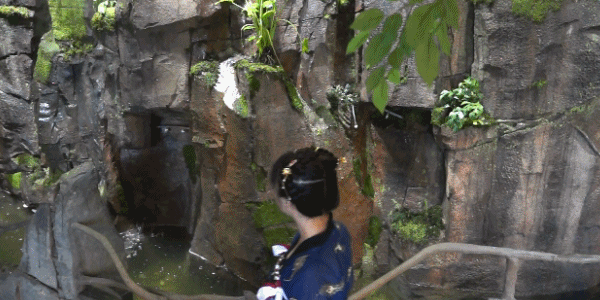 我发誓，从未见过这样子的螺蛳粉(图11)