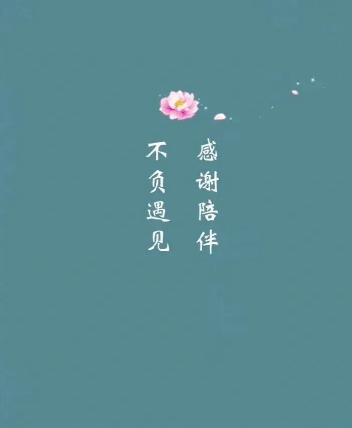 感恩文案：感恩有你，每个字都戳中了你的心(图4)