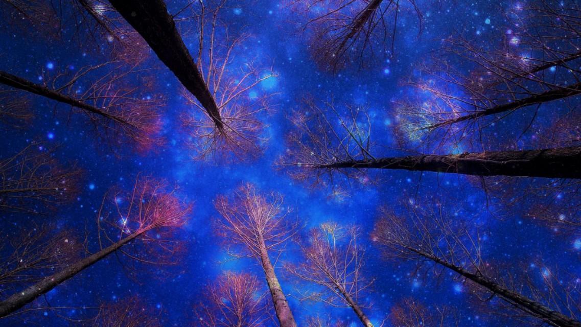 创业路上的10句心灵鸡汤，希望带给大家激励和动力(图1)