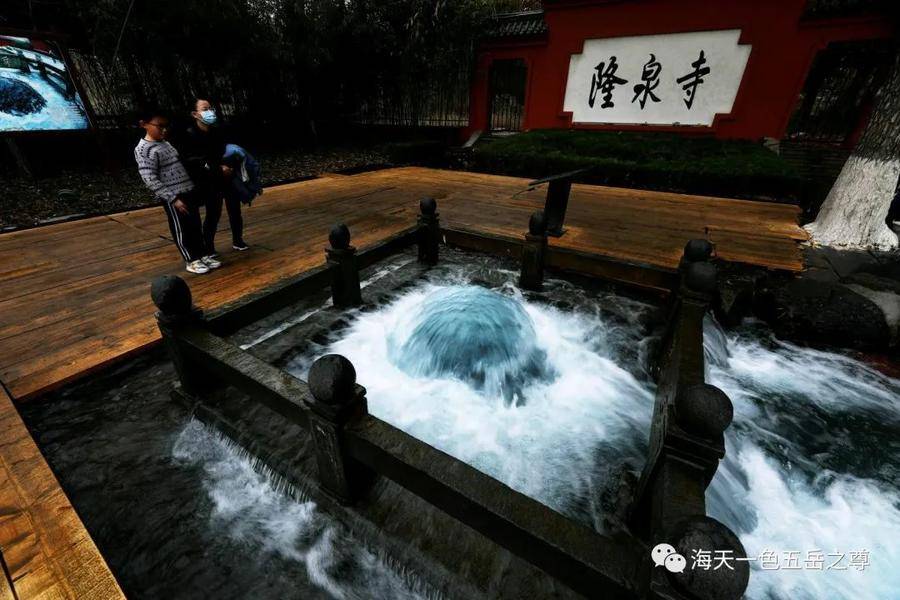 清泉洗心｜百脉泉柔荇漾青，书写曼妙无限，潋滟诗意仙境……(图2)