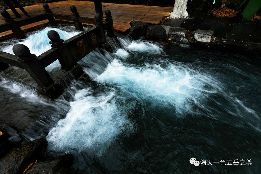 清泉洗心｜百脉泉柔荇漾青，书写曼妙无限，潋滟诗意仙境……(图4)