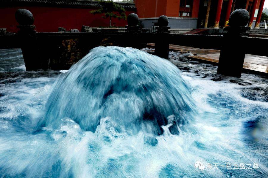 清泉洗心｜百脉泉柔荇漾青，书写曼妙无限，潋滟诗意仙境……(图7)