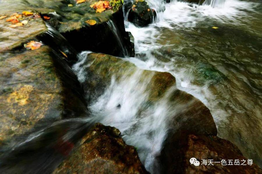 清泉洗心｜百脉泉柔荇漾青，书写曼妙无限，潋滟诗意仙境……(图9)