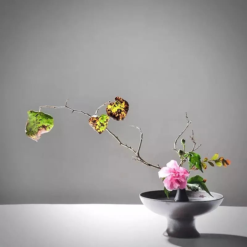 一缕清泉，一颗平静的心——心静如水的唯美句子(图5)