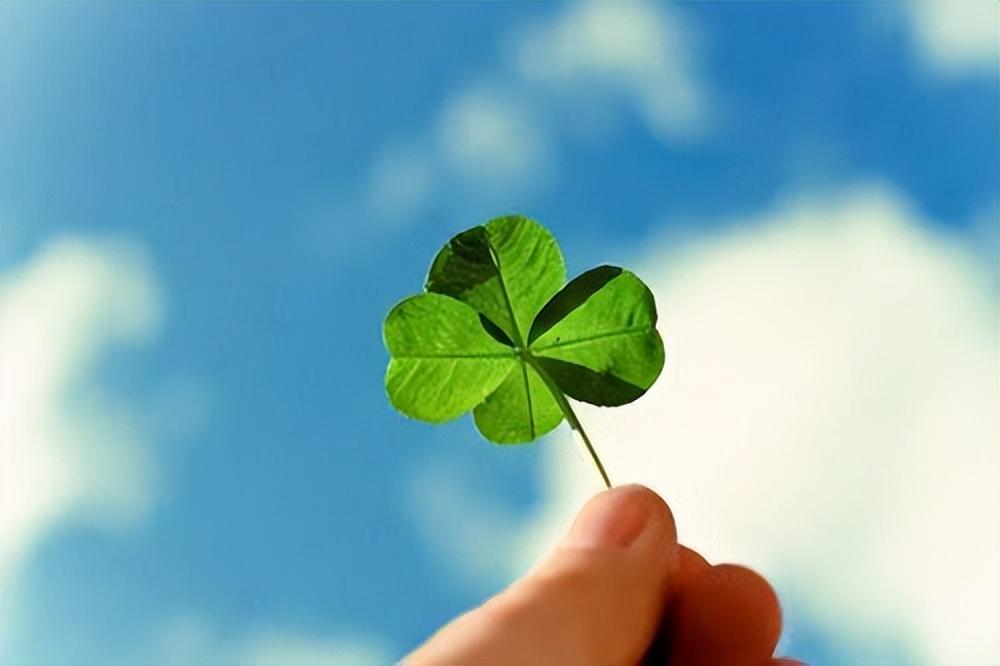 清晨慰藉心灵的阳光短句，宽慰自己，赶走烦忧(图1)