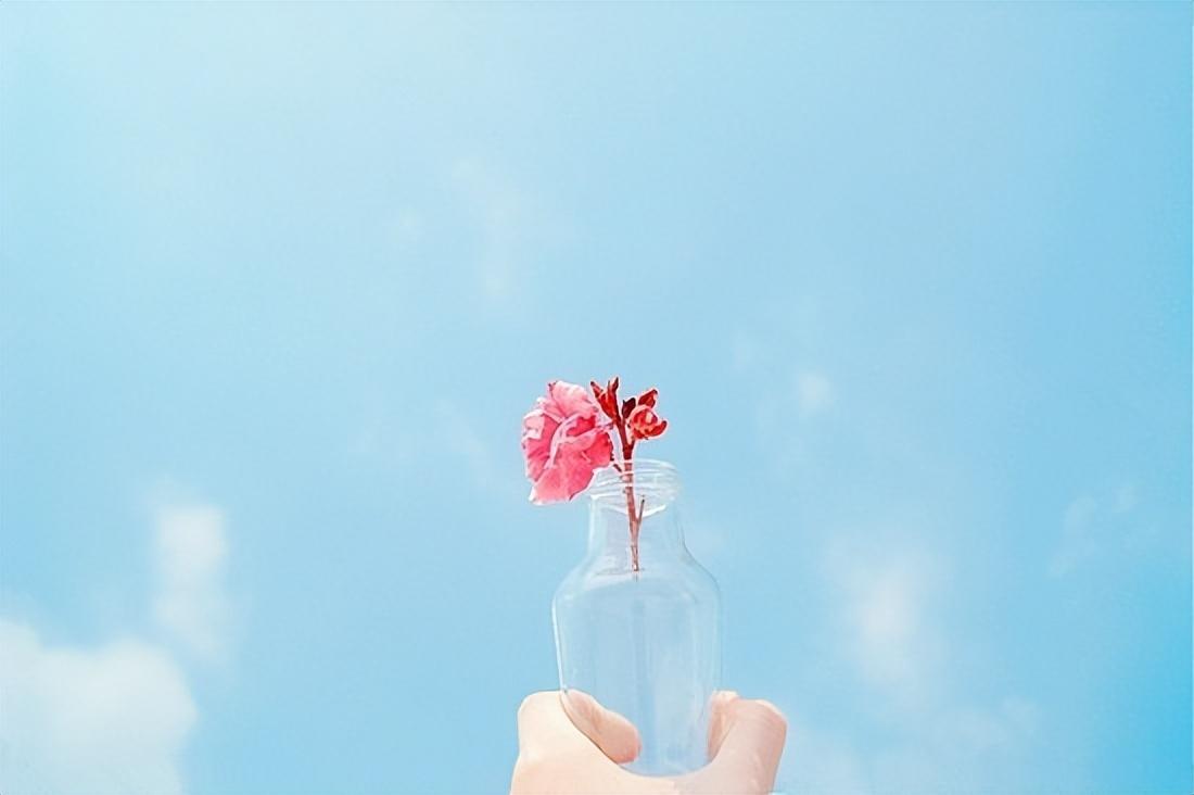 清晨慰藉心灵的阳光短句，宽慰自己，赶走烦忧(图2)