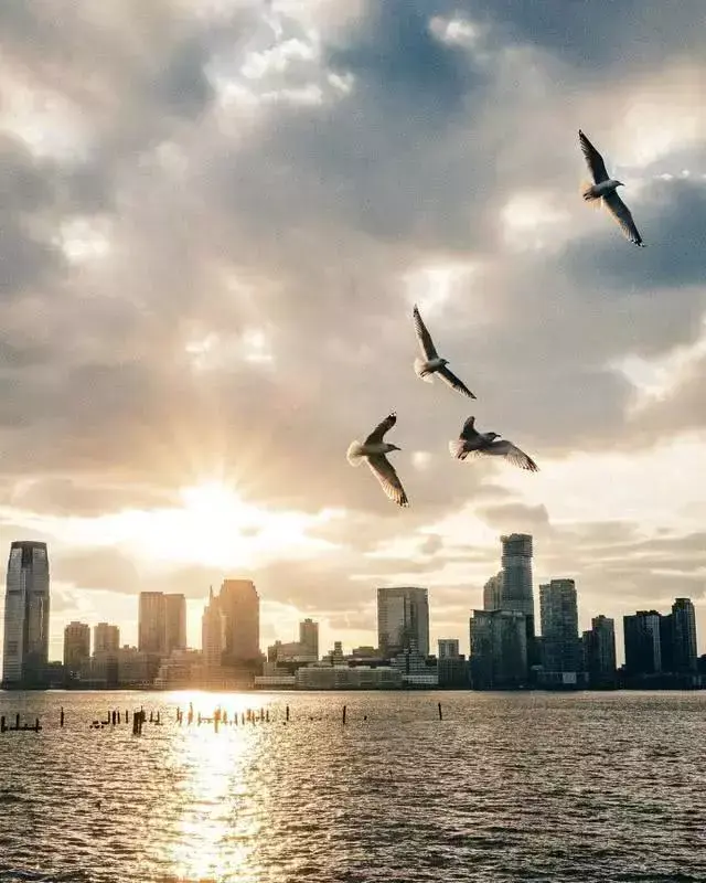 慰藉心灵的早安心语，句句经典，总结得太精辟了(图8)