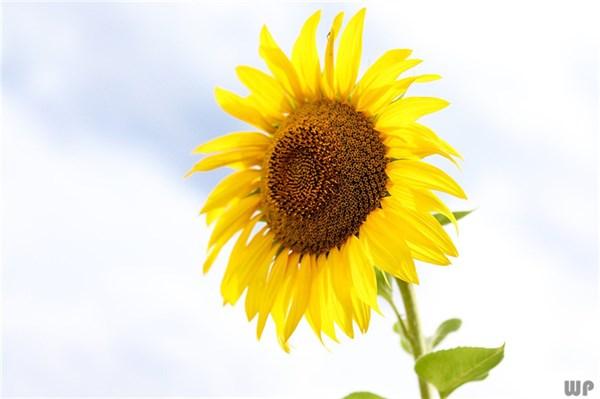 积极向上的励志说说，句句正能量，迷茫的时候多看看(图2)