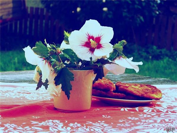 积极向上的正能量句子，发朋友圈鼓舞人心！(图3)