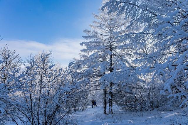 世界三大奇书之一——《智慧书》佳句摘录八(图3)