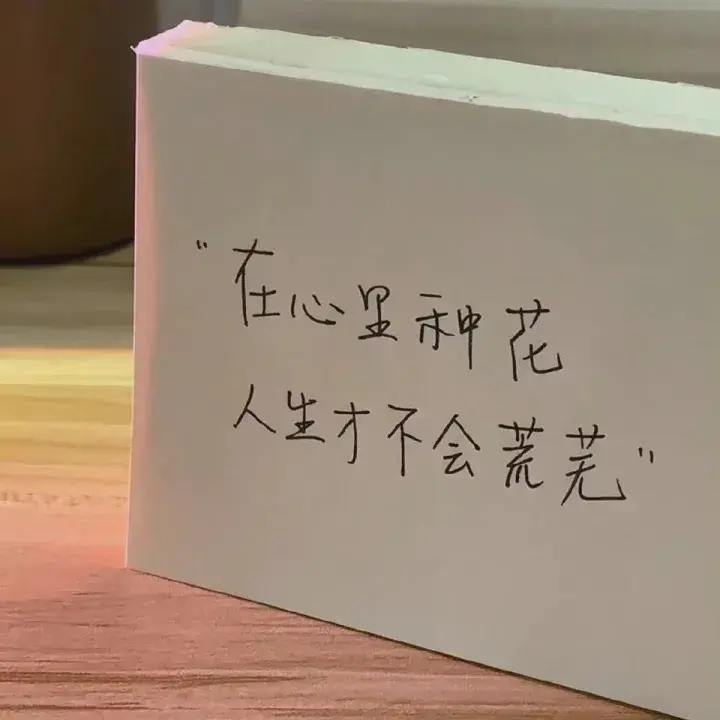 有哪些热爱生活的励志文案？(图7)