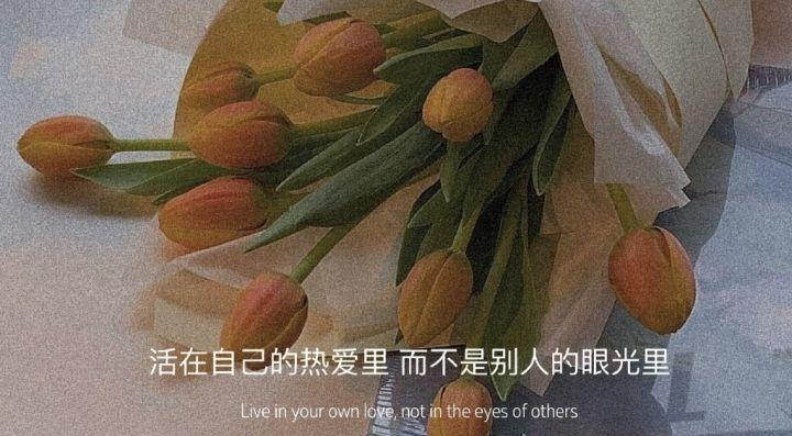 有哪些热爱生活的励志文案？(图11)