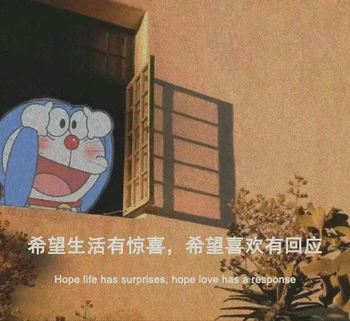 有哪些热爱生活的励志文案？(图14)